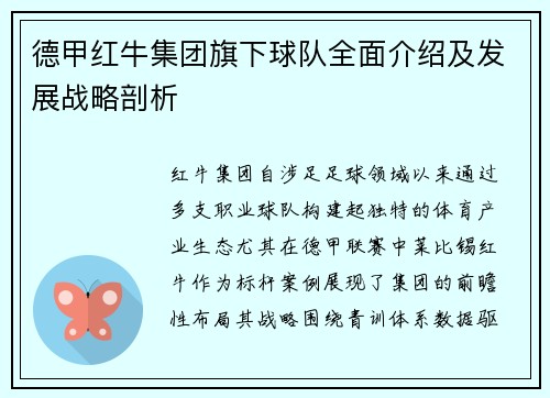 德甲红牛集团旗下球队全面介绍及发展战略剖析